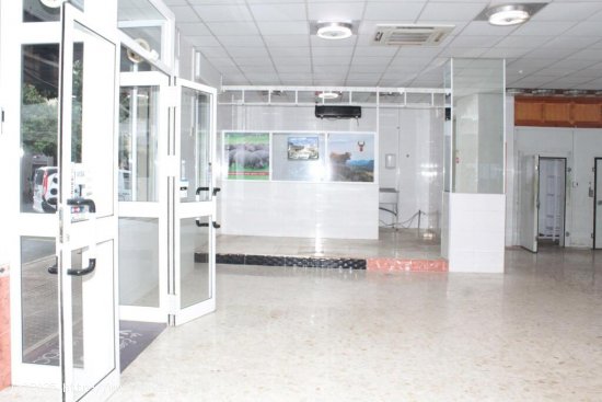 Local comercial en Alquiler en Sevilla Sevilla