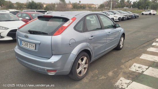 Ford Focus 1.6 Trend - Bormujos