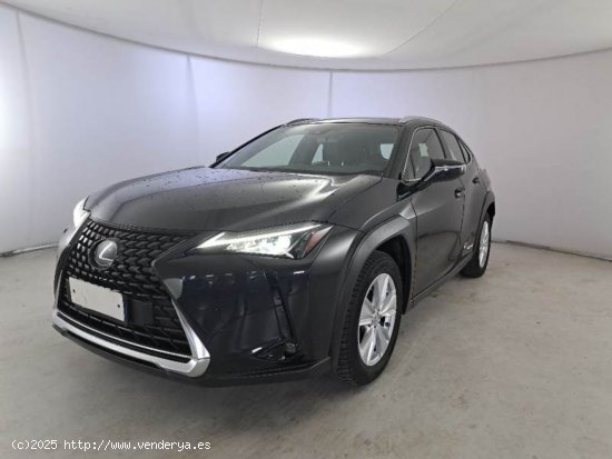 Lexus UX 2.0 250h Business Navigation - Madrid