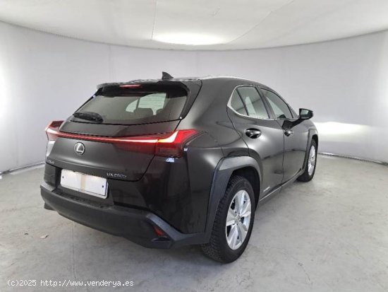 Lexus UX 2.0 250h Business Navigation - Madrid