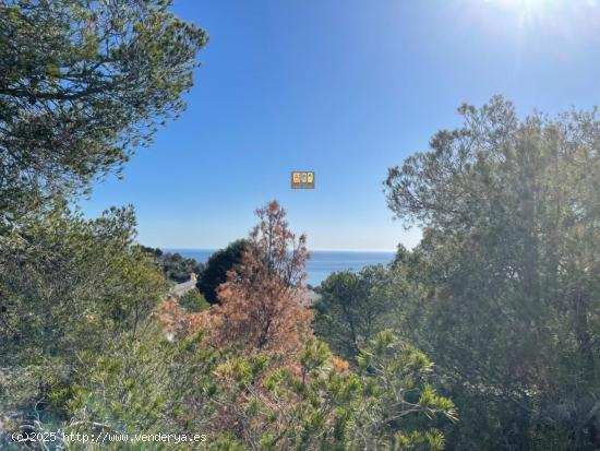  PARCELA URBANA EN ALTEA HILLS - ALICANTE 