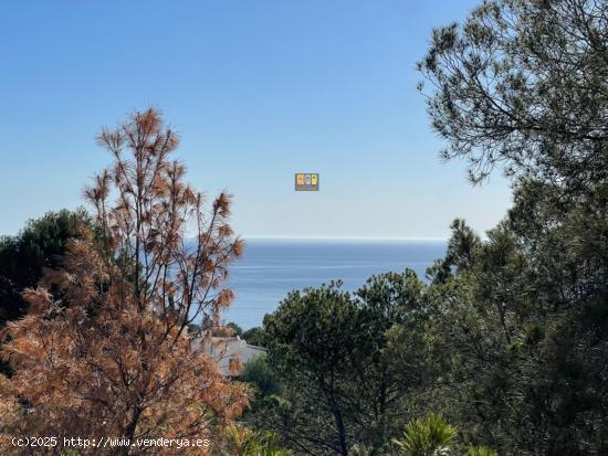 PARCELA URBANA EN ALTEA HILLS - ALICANTE