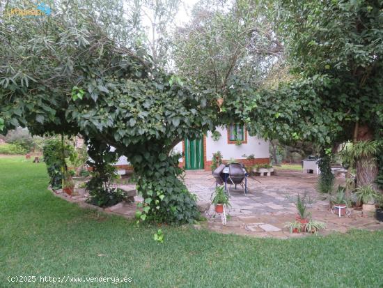 ENCANTADORA PARCELA CON CASA EN TRES ARROYOS, BADAJOZ - BADAJOZ