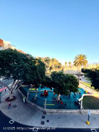 Se Alquila en Las Palmas de Gran Canaria - LAS PALMAS