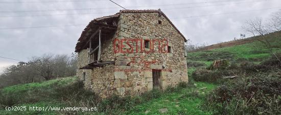 CABAÑA CON ARROYO,  PROYECTO Y CAMBIO DE USO EN LLANOS. PENAGOS - CANTABRIA