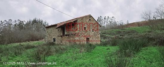 CABAÑA CON ARROYO,  PROYECTO Y CAMBIO DE USO EN LLANOS. PENAGOS - CANTABRIA