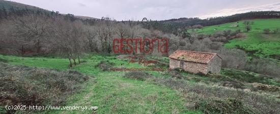 CABAÑA CON ARROYO,  PROYECTO Y CAMBIO DE USO EN LLANOS. PENAGOS - CANTABRIA