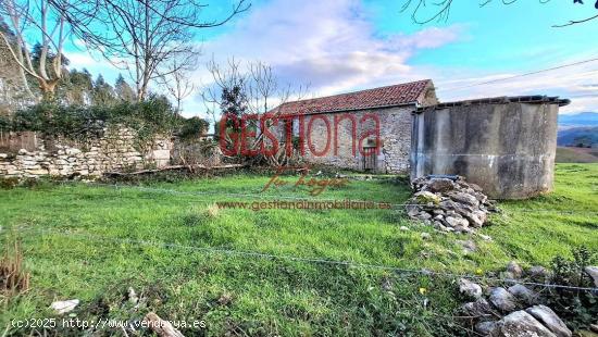  CASA Y CABAÑA PARA REHABILITAR. SOLORZANO - CANTABRIA 