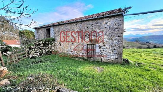 CASA Y CABAÑA PARA REHABILITAR. SOLORZANO - CANTABRIA