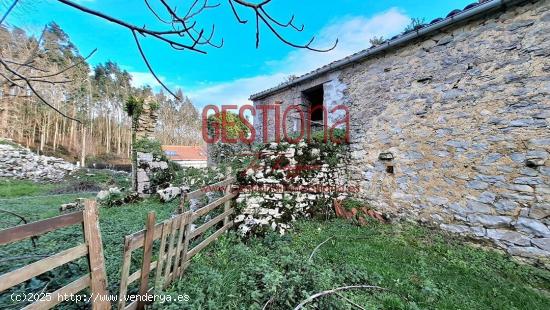 CASA Y CABAÑA PARA REHABILITAR. SOLORZANO - CANTABRIA