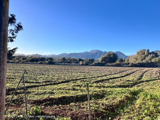  Finca rústica Campanet - BALEARES 