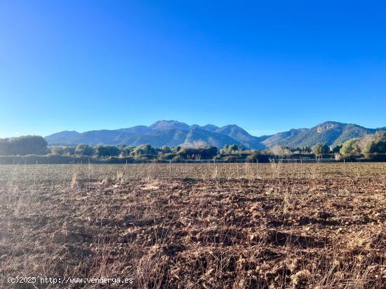 Finca rústica Campanet - BALEARES