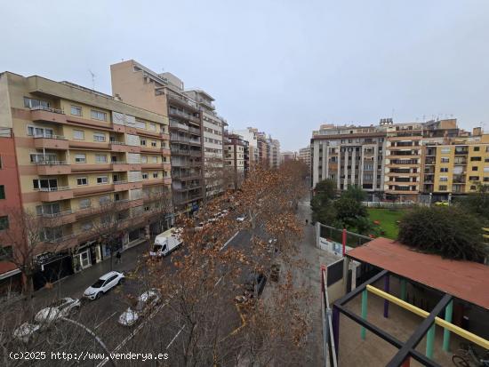  PISO EN CALLE ARAGON A 5 MINUTOS DEL CENTRO - BALEARES 