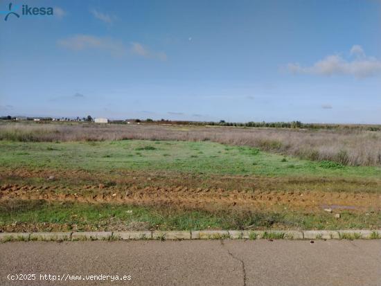 Venta de Suelo Urbanizable Residencial en Pueblonuevo del Guadiana (Badajoz) - BADAJOZ