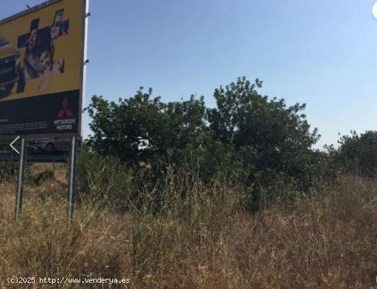 SOLAR EN VENTA EN EL VENDRELL - TARRAGONA