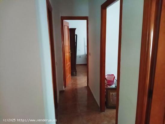 Piso bajo con patio privado - CACERES