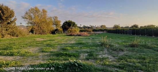 CASA RURAL CON TERRENO Y PISCINA PRIVADA - ZONA BENEJUZAR - - ALICANTE