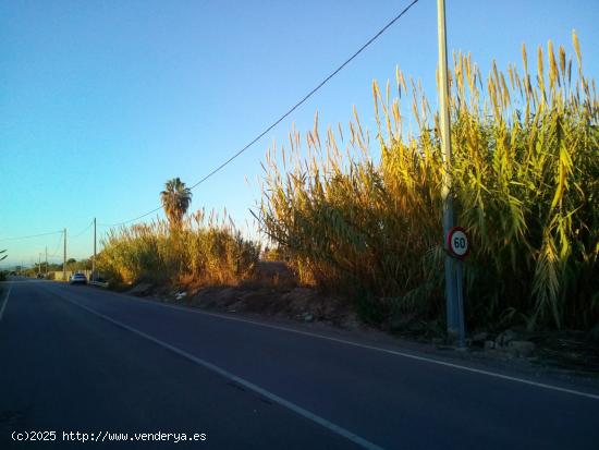 Solar en Venta Serratelles Nules - CASTELLON