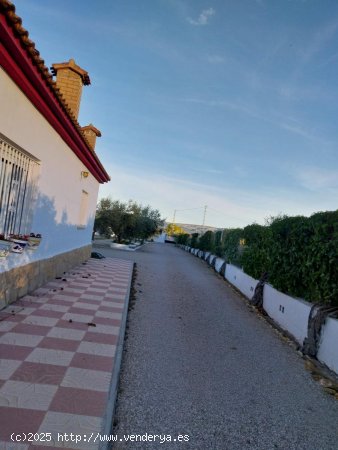  Chalet en venta en Castalla (Alicante) 