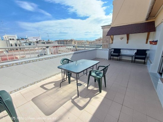  Apartamento en alquiler en Oliva (Valencia) 