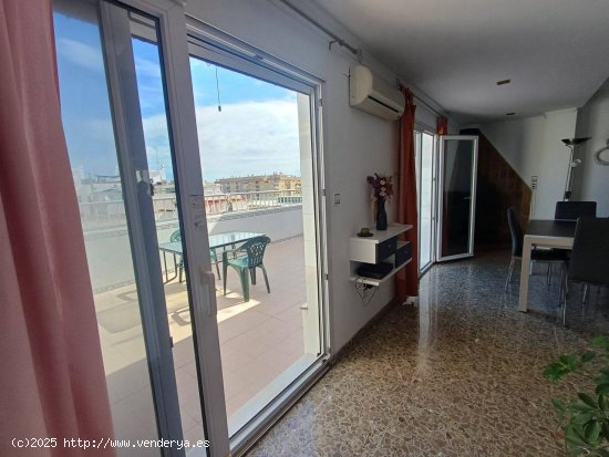 Apartamento en alquiler en Oliva (Valencia)