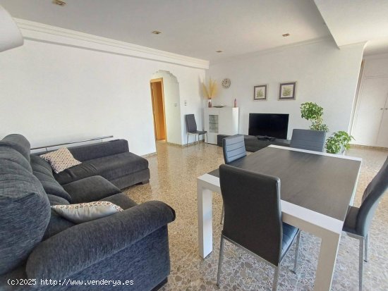 Apartamento en alquiler en Oliva (Valencia)