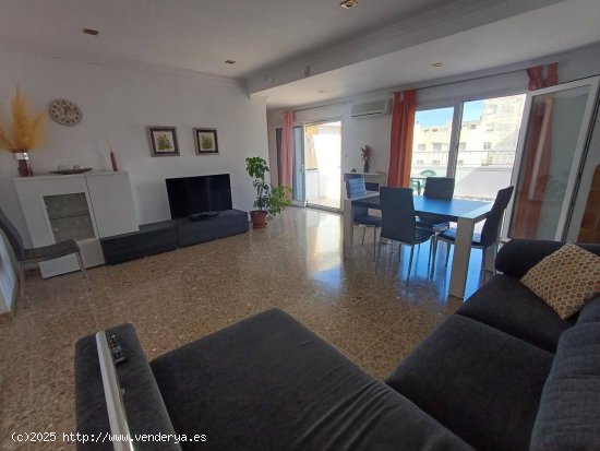 Apartamento en alquiler en Oliva (Valencia)