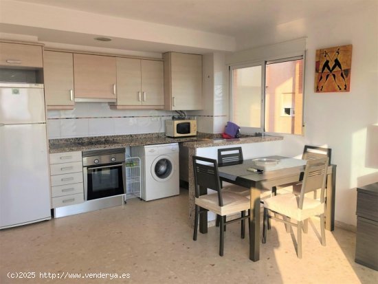 Apartamento en alquiler en Oliva (Valencia)