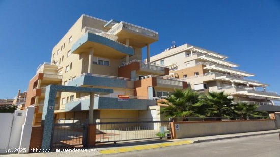 Apartamento en alquiler en Oliva (Valencia)