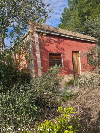  Finca en venta en Xerta (Tarragona) 