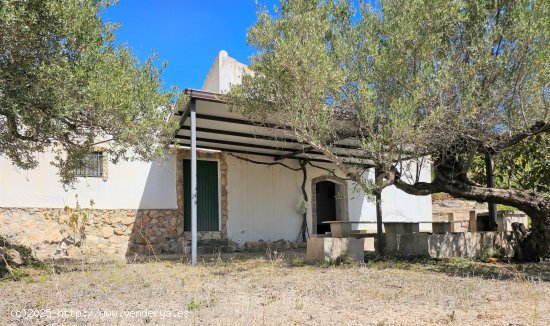  Finca en venta en Camarles (Tarragona) 