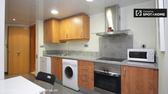 Encantador, apartamento estudio totalmente equipado en alquiler cerca de Plaça Catalunya - BARCELON