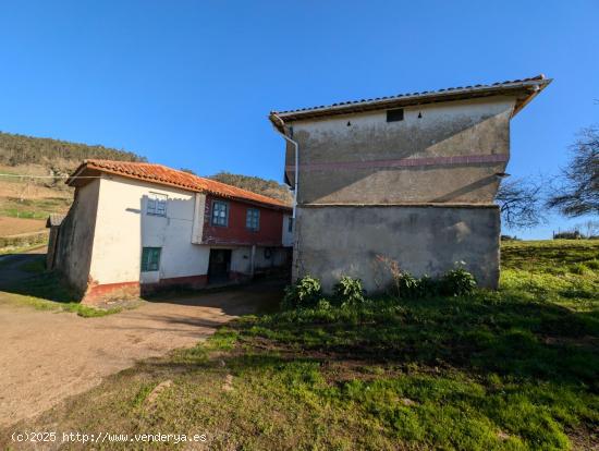 CASA CON GALERÍA Y ALMACÉN, CUADRA-HANGAR Y HÓRREO CON LLAGAR EN FINCA DE MAS DE 2 Hectáreas - A