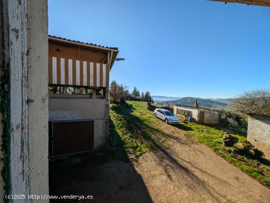 CASA CON GALERÍA Y ALMACÉN, CUADRA-HANGAR Y HÓRREO CON LLAGAR EN FINCA DE MAS DE 2 Hectáreas - A