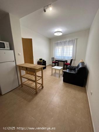 APARTAMENTOS DE UNA HABITACIÓN CERCA UCAM - MURCIA