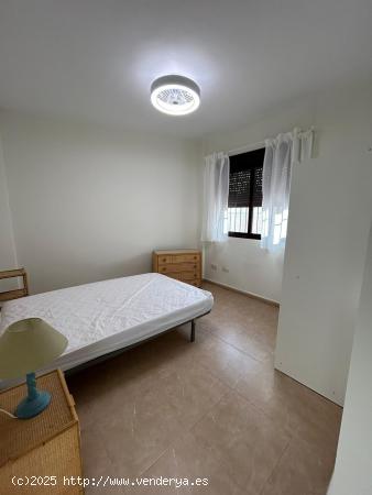 APARTAMENTOS DE UNA HABITACIÓN CERCA UCAM - MURCIA