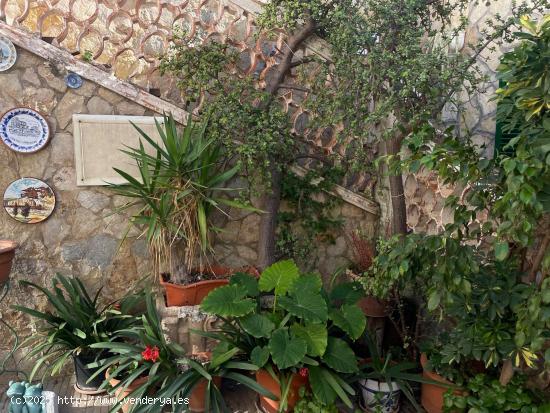 ENCANTADORA PLANTA BAJA EN UNOS DE LOS BARIOS MAS BONITOS DE PALMA - BALEARES