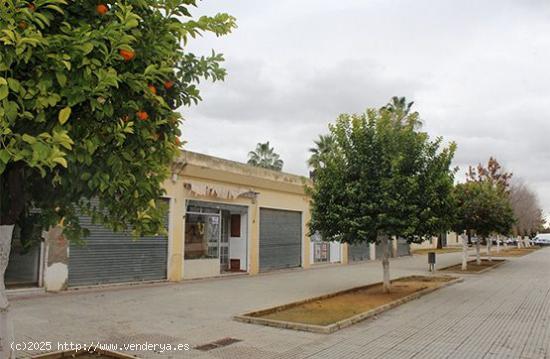 Se Vende en Lora del Rio - SEVILLA