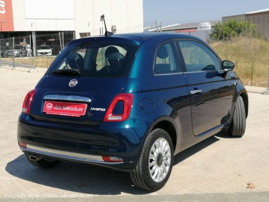 Fiat 500 Dolcevita 1.0 Hybrid 51KW (70 CV) - Carcaixent