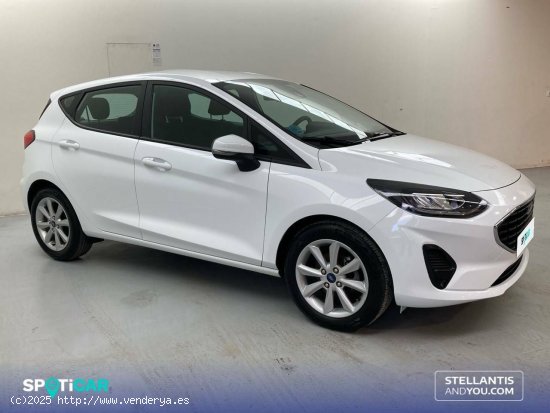 Ford Fiesta  1.1 IT-VCT 55kW (75CV)  5p Trend - Sevilla