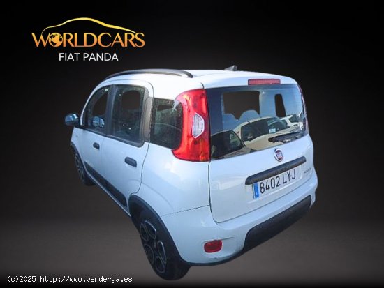 Fiat Panda 1.0 mild hybrid city life 4x2 - San Vicente del Raspeig