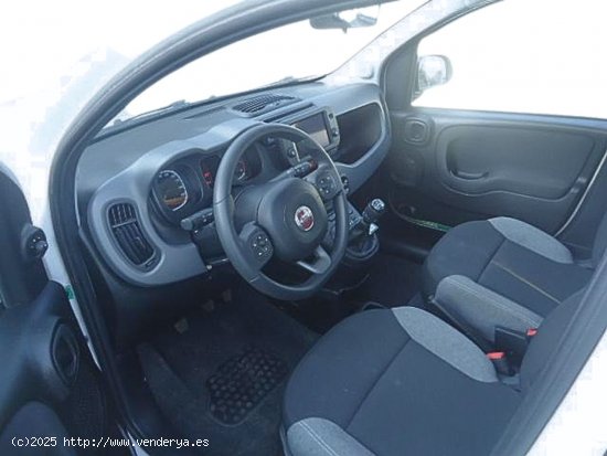 Fiat Panda 1.0 mild hybrid city life 4x2 - San Vicente del Raspeig