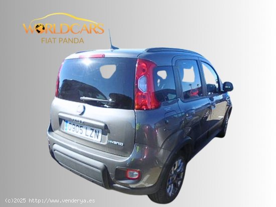 Fiat Panda 1.0 mild hybrid city life 4x2 - San Vicente del Raspeig