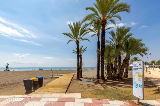 ALQUILER DE LOCAL 110 M2 PLAYA DE LEVANTE - ALICANTE