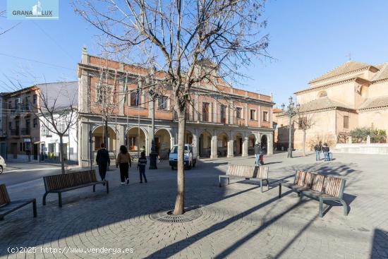  LOCAL JUNTO AYUNTAMIENTO DE ALBOLOTE - GRANADA 