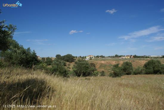 FINCA DE RECREO CARRETERA CAMPOMAYOR. - BADAJOZ