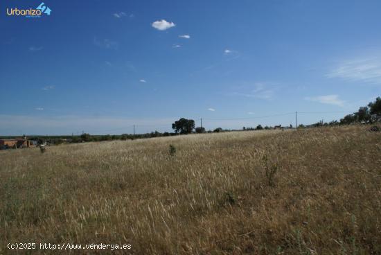 FINCA DE RECREO CARRETERA CAMPOMAYOR. - BADAJOZ