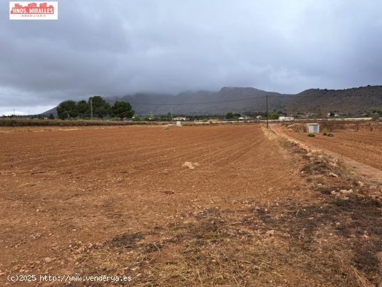 VENTA CASA CON TERRENO EN HONDON DE LAS NIEVES - ALICANTE