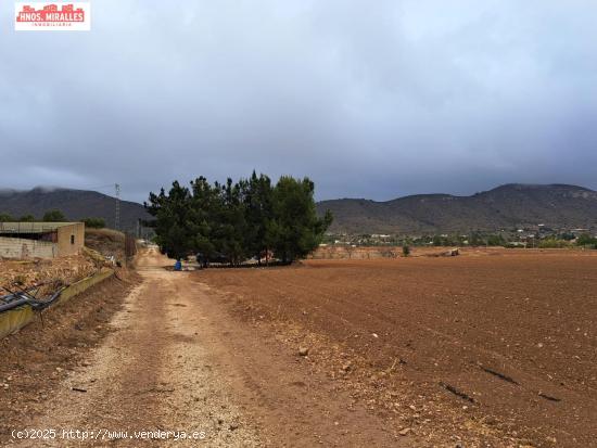 VENTA CASA CON TERRENO EN HONDON DE LAS NIEVES - ALICANTE