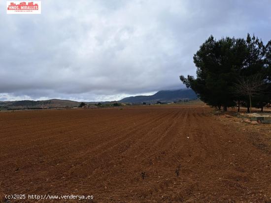 VENTA CASA CON TERRENO EN HONDON DE LAS NIEVES - ALICANTE